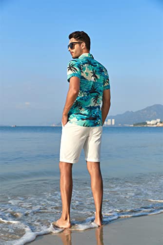 Men's Hawaiian Shirt Short Sleeves Printed Button Down Summer Beach Dress Shirts