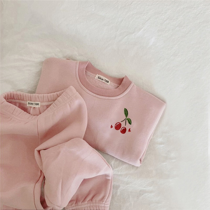 2Pcs Spring Baby Girl Boy Clothes Set Embroidery Thicken Fleece Warm Sweatshirt + Pant Baby Boy Tracksuit Toddler Clothes Outfit - Rocket Family Shopping